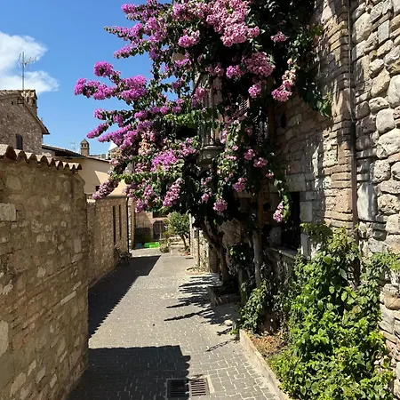 La Bouganville